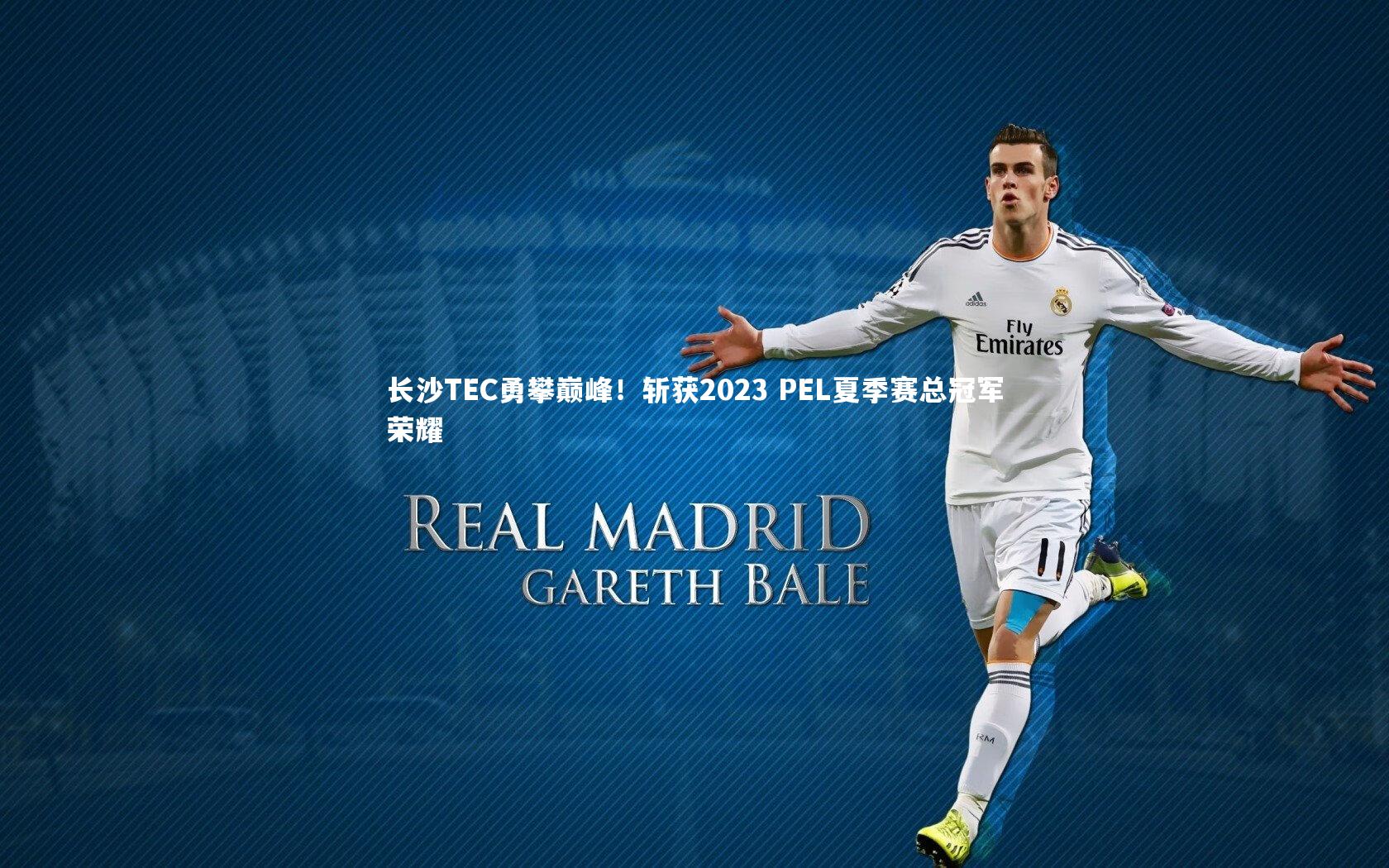 星空体育_长沙TEC勇攀巅峰！斩获2023 PEL夏季赛总冠军荣耀